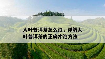 大叶普洱茶怎么泡，详解大叶普洱茶的正确冲泡方法