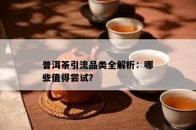 普洱茶引流品类全解析：哪些值得尝试？