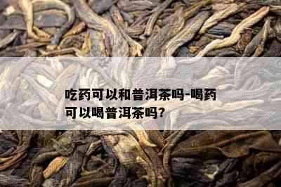 吃可以和普洱茶吗-喝可以喝普洱茶吗?