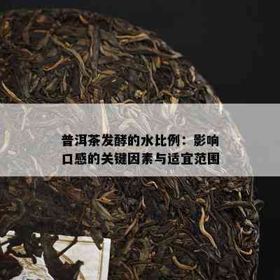 普洱茶发酵的水比例：影响口感的关键因素与适宜范围