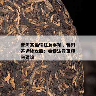 普洱茶运输注意事项，普洱茶运输攻略：关键注意事项与建议