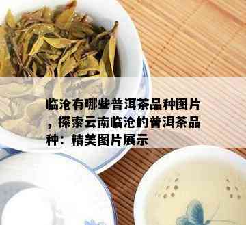 临沧有哪些普洱茶品种图片，探索云南临沧的普洱茶品种：精美图片展示