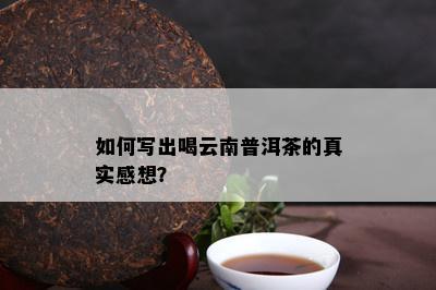 如何写出喝云南普洱茶的真实感想？