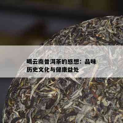 喝云南普洱茶的感想：品味历史文化与健康益处