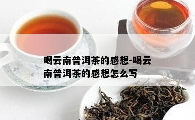 喝云南普洱茶的感想-喝云南普洱茶的感想怎么写