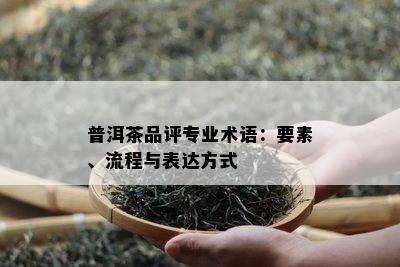 普洱茶品评专业术语：要素、流程与表达方式