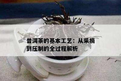 普洱茶的基本工艺：从采摘到压制的全过程解析