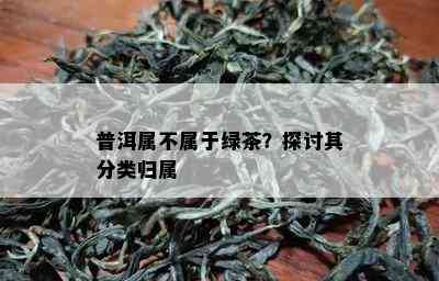 普洱属不属于绿茶？探讨其分类归属