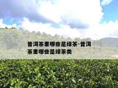 普洱茶里哪些是绿茶-普洱茶里哪些是绿茶类