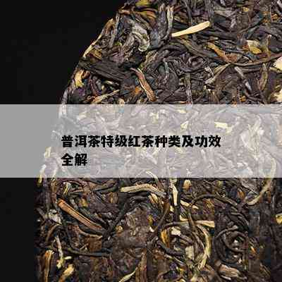 普洱茶特级红茶种类及功效全解