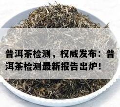 普洱茶检测，权威发布：普洱茶检测最新报告出炉！