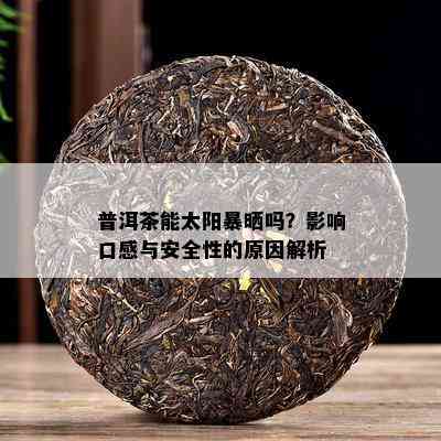 普洱茶能太阳暴晒吗？影响口感与安全性的原因解析