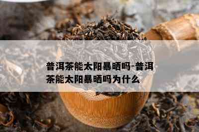 普洱茶能太阳暴晒吗-普洱茶能太阳暴晒吗为什么