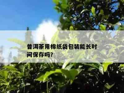 普洱茶用棉纸袋包装能长时间保存吗？