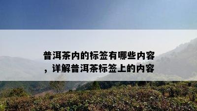 普洱茶内的标签有哪些内容，详解普洱茶标签上的内容