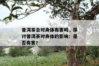 普洱茶会对身体有害吗，探讨普洱茶对身体的影响：是否有害？