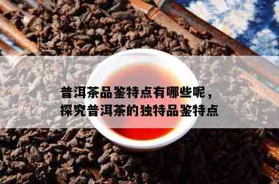 普洱茶品鉴特点有哪些呢，探究普洱茶的独特品鉴特点