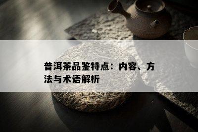 普洱茶品鉴特点：内容、方法与术语解析