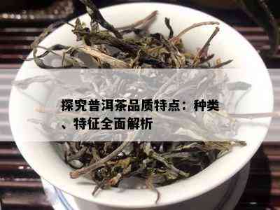 探究普洱茶品质特点：种类、特征全面解析