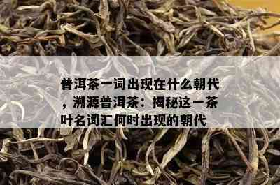 普洱茶一词出现在什么朝代，溯源普洱茶：揭秘这一茶叶名词汇何时出现的朝代