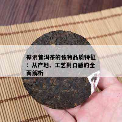 探索普洱茶的独特品质特征：从产地、工艺到口感的全面解析