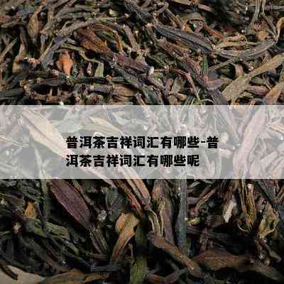 普洱茶吉祥词汇有哪些-普洱茶吉祥词汇有哪些呢