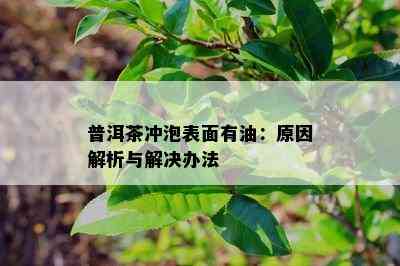 普洱茶冲泡表面有油：原因解析与解决办法