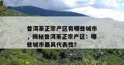 普洱茶正宗产区有哪些城市，揭秘普洱茶正宗产区：哪些城市更具代表性？