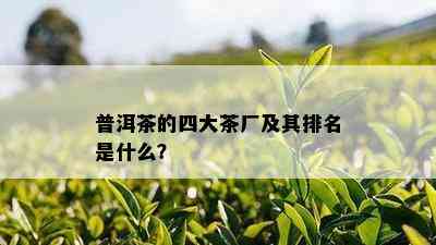 普洱茶的四大茶厂及其排名是什么？