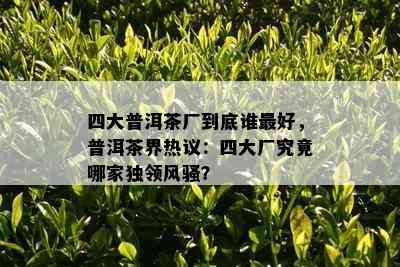 四大普洱茶厂到底谁更好，普洱茶界热议：四大厂究竟哪家独领 *** ？