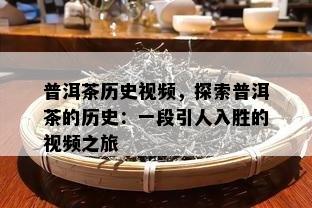 普洱茶历史视频，探索普洱茶的历史：一段引人入胜的视频之旅