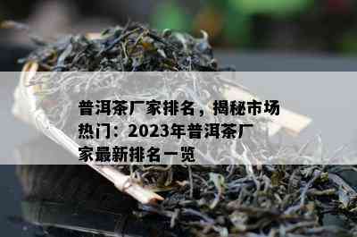 普洱茶厂家排名，揭秘市场热门：2023年普洱茶厂家最新排名一览