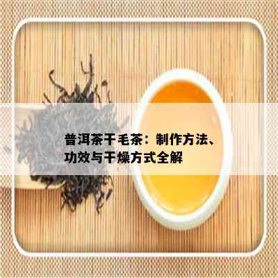 普洱茶干毛茶：制作方法、功效与干燥方式全解