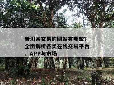 普洱茶交易的网站有哪些？全面解析各类在线交易平台、APP与市场