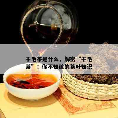 干毛茶是什么，解密“干毛茶”：你不知道的茶叶知识