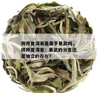 倚邦普洱茶是属于易武吗，倚邦普洱茶：易武的分支还是独立的存在？