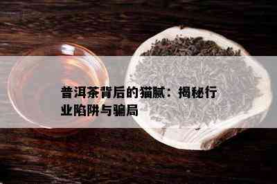 普洱茶背后的猫腻：揭秘行业陷阱与骗局