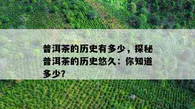 普洱茶的历史有多少，探秘普洱茶的历史悠久：你知道多少？