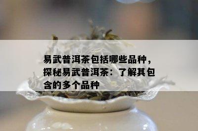 易武普洱茶包括哪些品种，探秘易武普洱茶：了解其包含的多个品种