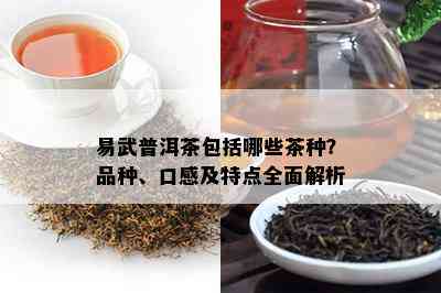 易武普洱茶包括哪些茶种？品种、口感及特点全面解析