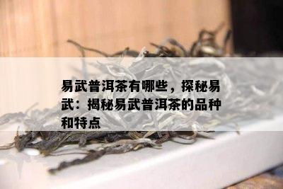 易武普洱茶有哪些，探秘易武：揭秘易武普洱茶的品种和特点