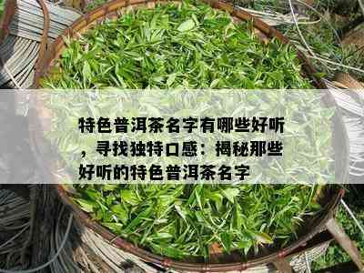 特色普洱茶名字有哪些好听，寻找独特口感：揭秘那些好听的特色普洱茶名字