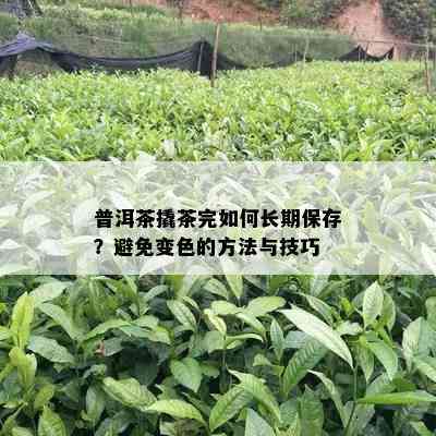 普洱茶撬茶完如何长期保存？避免变色的方法与技巧