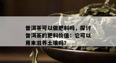 普洱茶可以做肥料吗，探讨普洱茶的肥料价值：它可以用来滋养土壤吗？