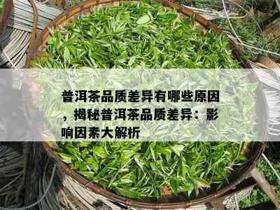 普洱茶品质差异有哪些原因，揭秘普洱茶品质差异：影响因素大解析