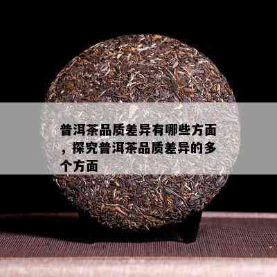 普洱茶品质差异有哪些方面，探究普洱茶品质差异的多个方面