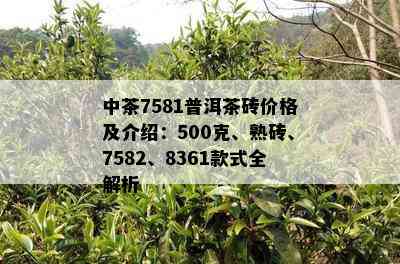 中茶7581普洱茶砖价格及介绍：500克、熟砖、7582、8361款式全解析