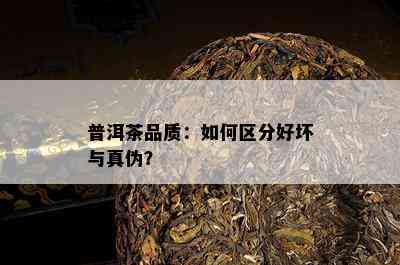 普洱茶品质：如何区分好坏与真伪？