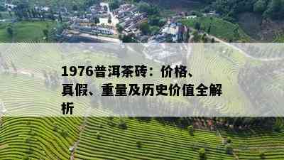 1976普洱茶砖：价格、真假、重量及历史价值全解析