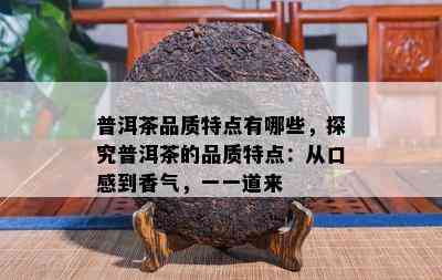 普洱茶品质特点有哪些，探究普洱茶的品质特点：从口感到香气，一一道来